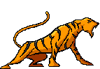 11an.gif